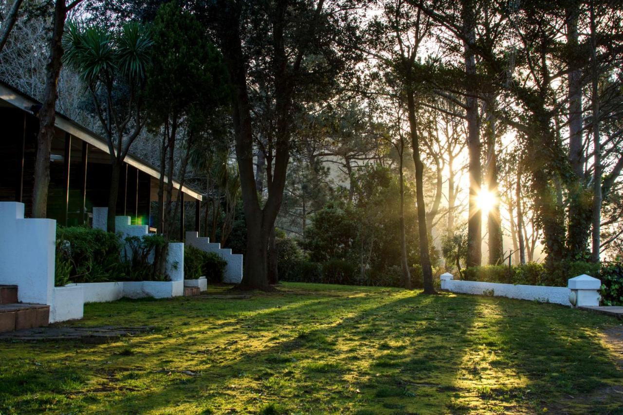Silvermist Wine Estate Cape Town Ngoại thất bức ảnh